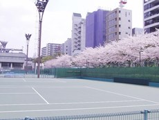 靭公園のテニスコート
