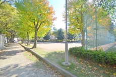 公園